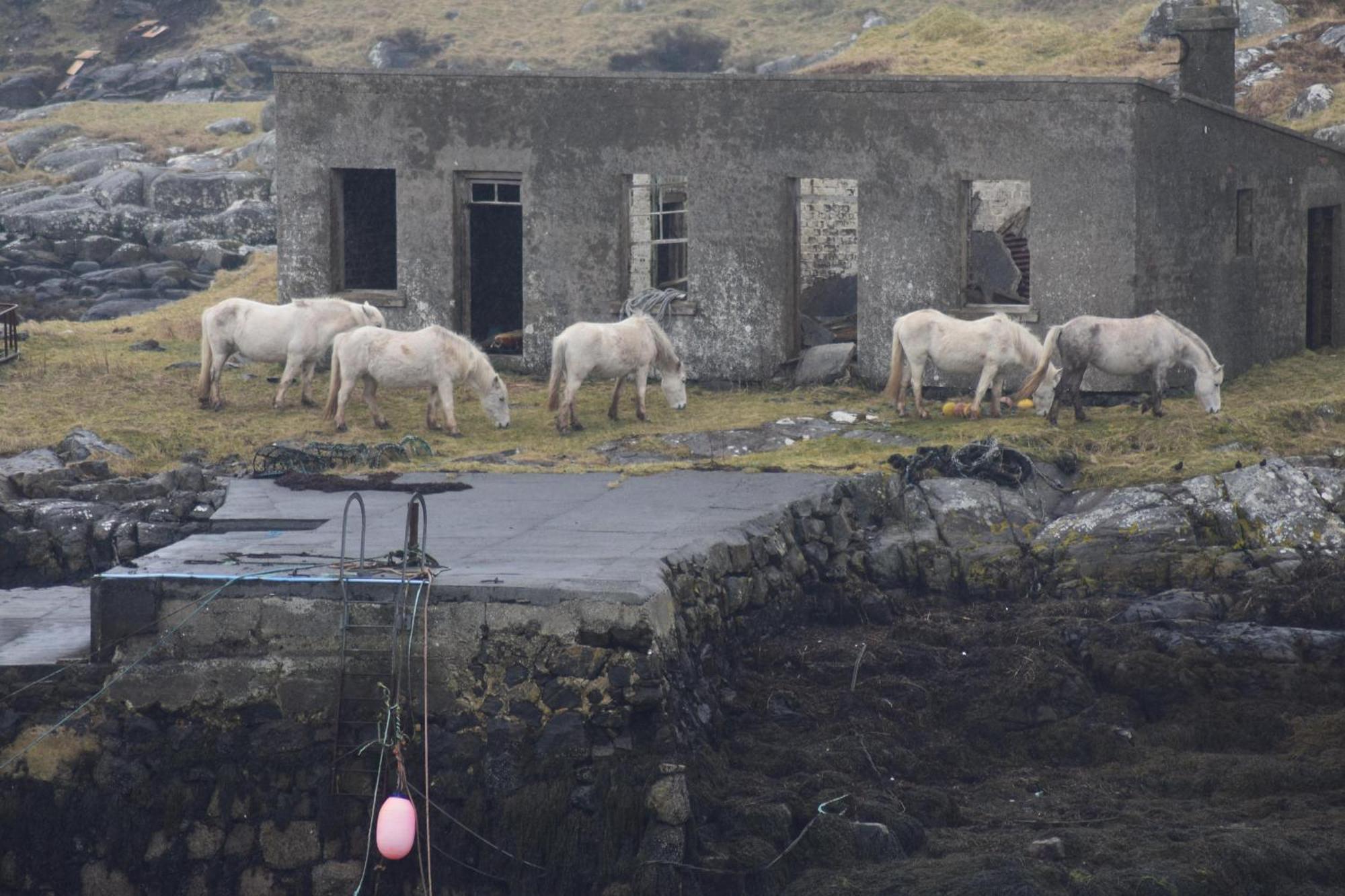 Glamping Pod for 2 Pod Beag Na Haun Eriskay Villa Exteriör bild