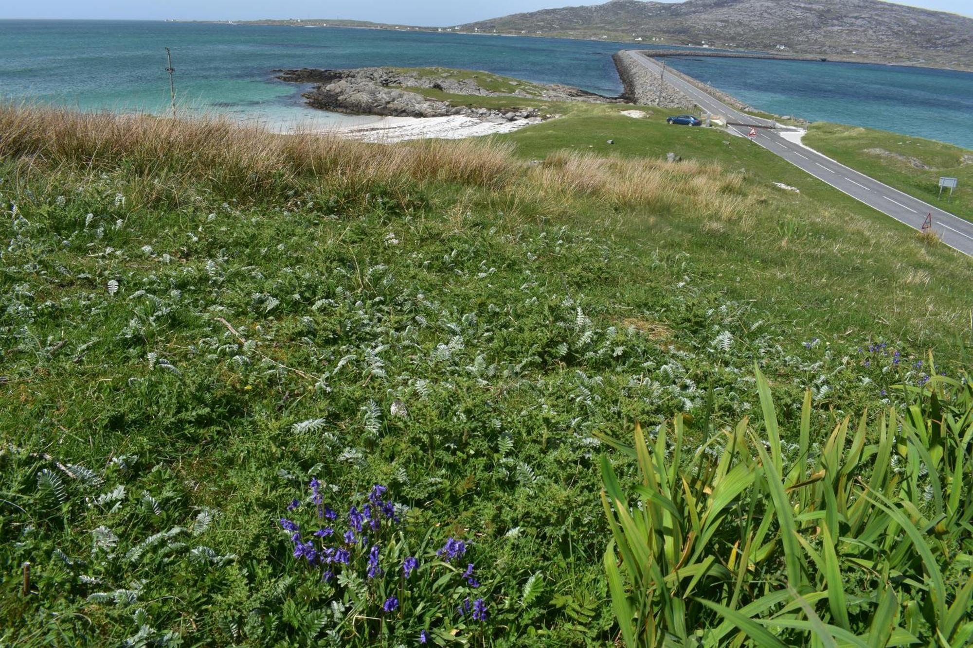 Glamping Pod for 2 Pod Beag Na Haun Eriskay Villa Exteriör bild